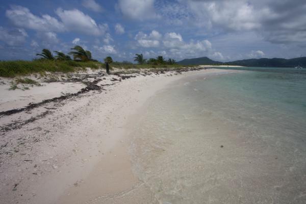 The beach of Sandy Island with a calm sea | Sandy Island | Grenada