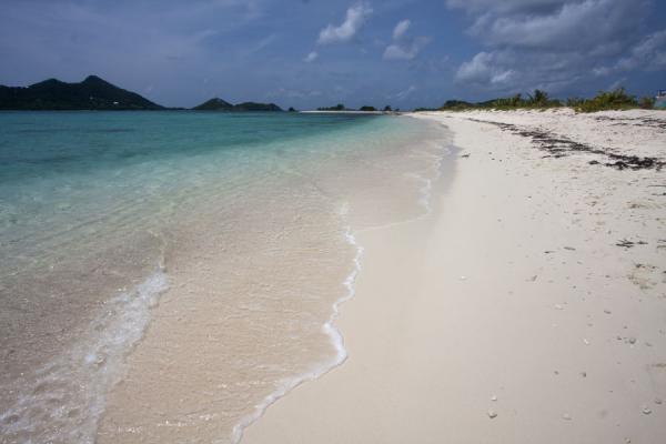 Paradisiacal colours on Sandy Island: blue, turquoise, white | Sandy Island | Grenada