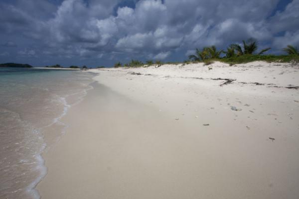 Waves arriving at the beach of Sandy Island | Sandy Island | Grenada