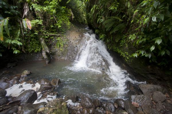 Foto van Getting to Honeymoon Falls involves walking up this small fallSeven Sisters Waterfall - Grenada