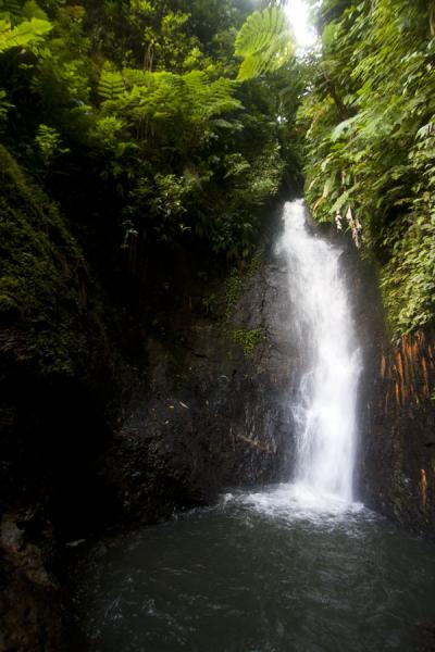 Foto van Honeymoon Falls with small poolSeven Sisters Waterfall - Grenada