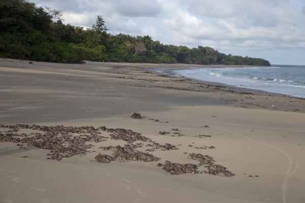 Bruce Beach, completely empty | Bubaque eiland | Guinée-Bissau