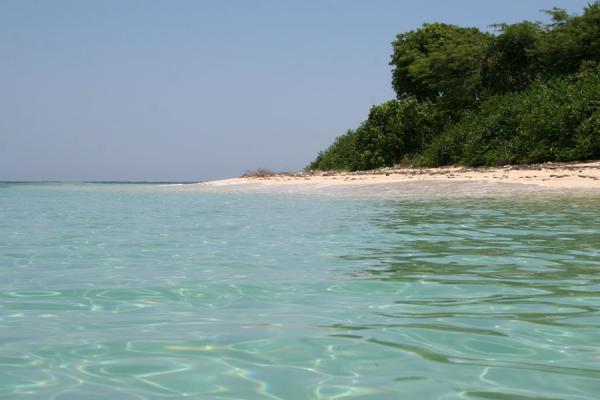 Picture of Beach of Ile à Rats seen from the seaLabadie - Haiti