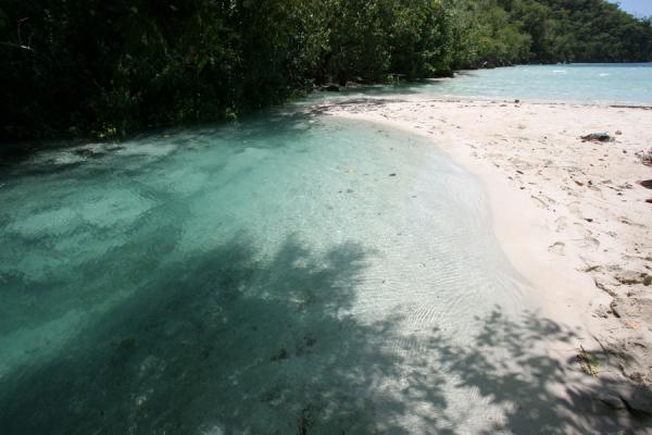 Picture of Pool of cold freshwater with sea in the background: Cadras beachLabadie - Haiti