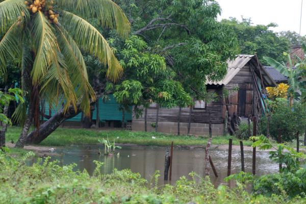 Photo de Limón: house on stilts protects against rainwater - Honduras - Amérique