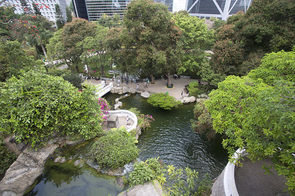 Picture of Hong Kong Park (Hong Kong): View over trees and lake of Hong Kong park