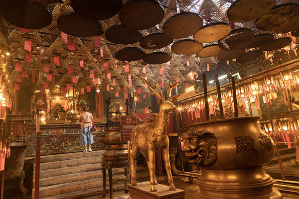 Picture of Golden deer, and a myriad of incense coils inside Man Mo temple