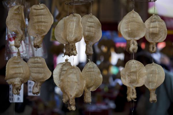 Picture of Dried fish hanging for sale in a shop in Tai O
