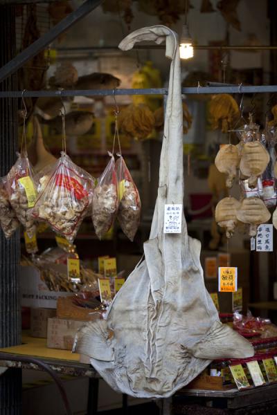 Picture of Tai O (Hong Kong): Dried fish can be found everywhere in the shops in Tai O; here, a shark