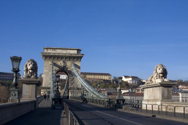 Picture of Entrance of Széchenyi bridge with lions