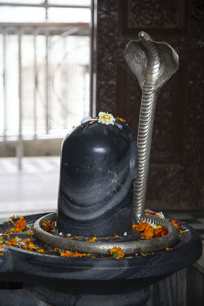 Picture of Sculpted cobra with flowers in the Shiva temple