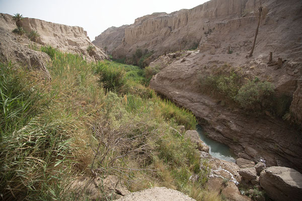 Picture of Keshit Canyon is an oasis in Lut Desert - Iran - Asia