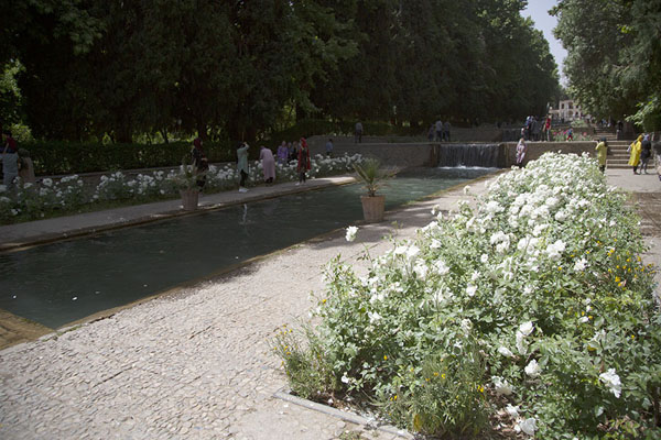 Picture of Looking down the central part of Shahzadeh GardenMahan - Iran