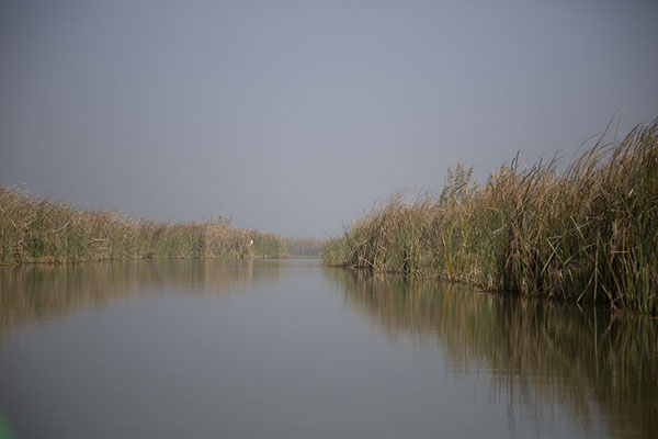 Picture of Mesopotamian Marshes (Iraq): Waterway lined by reeds in the Mesopotamian Marshes