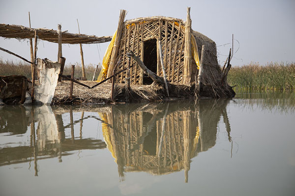 Traditional hut on a man-made floating island in the reeds of the Mesopotamian Marshlands | Mesopotamian Marshes | Iraq