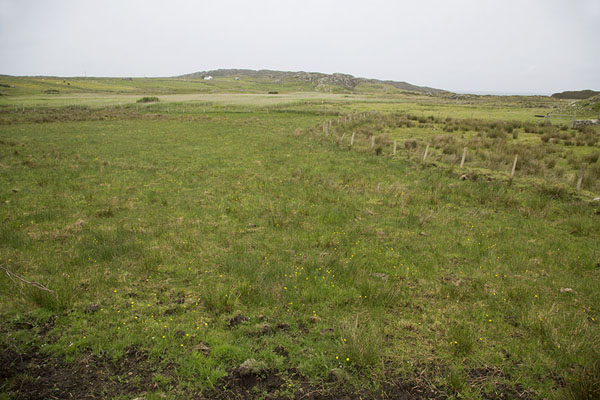 Picture of The landscape of central Inishbofin with green meadows and low hills
