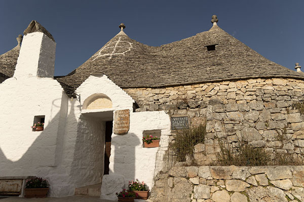 Picture of Several trulli in the early morning in AlberobelloAlberobello - Italy