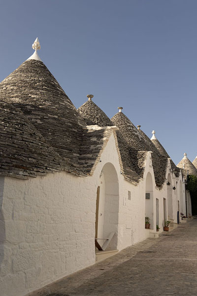 Foto di Row of traditional white houses, or trulli, in Alberobello - Italia - Europa