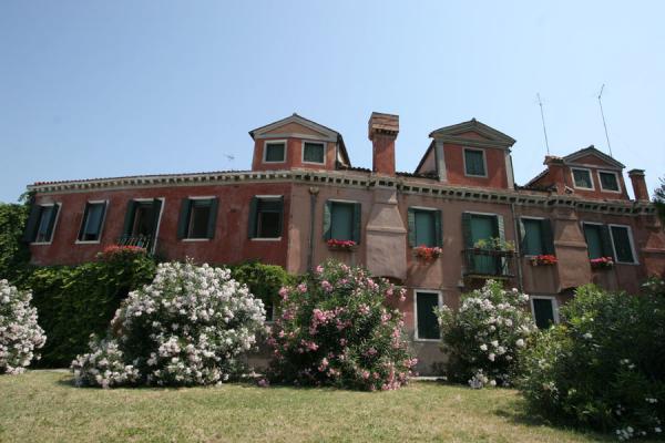 Picture of Houses and flowers in front of San Pietro Castello church