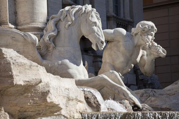 Foto van Hippocamp or winged sea-horse with Triton at the Trevi Fountain - Italië - Europa