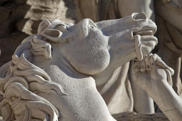 Head of a hippocamp in the early morning sun | Trevi fountain | Italy