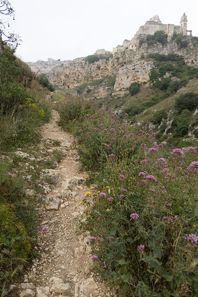 Path on the other side of the river Gravina with Matera in the background | Matera | Italy