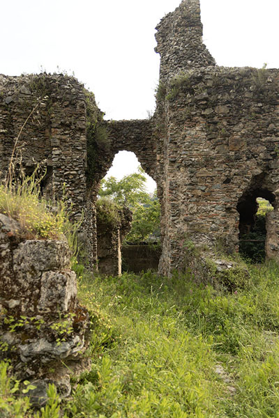 The ruins of the wall and gate of the Norman castle of Nicastro | Castello normanno de Nicastro | Italia