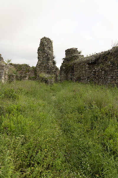 Picture of Ruins and grass at the castle of Nicastro - Italy - Europe