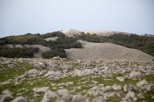 Picture of Pizzo Carbonara (Italy): Landscape of Pizzo Carbonara, the second highest summit of Sicily