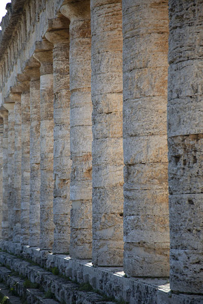 Picture of Segesta (Italy): Temple of Segesta with row of columns