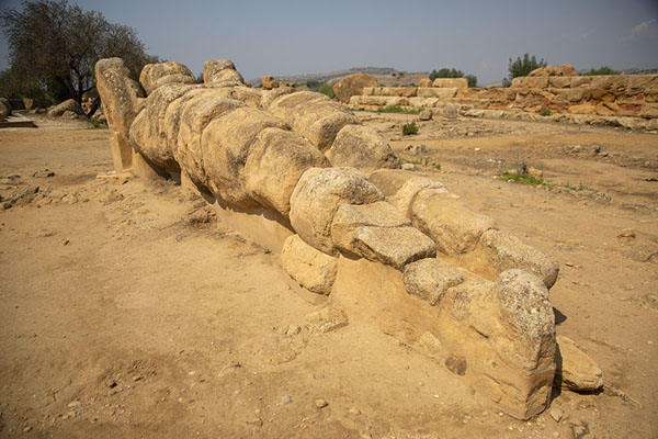 One of the telamons that once supported the roof of the Temple of Zeus lying on the ground | Vallée des Temples | l'Italie