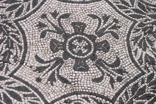Picture of Villa Adriana (Italy): Mosaic at Hospitalium, Villa Adriana, Rome