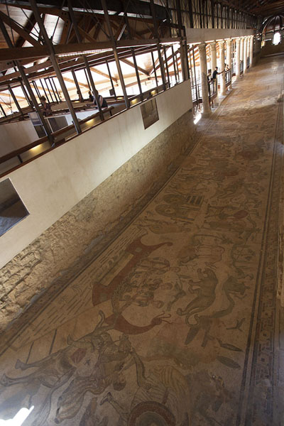 Picture of Villa Romana del Casale (Italy): A baffling 60 metres long mosaic depicting hunting scenes