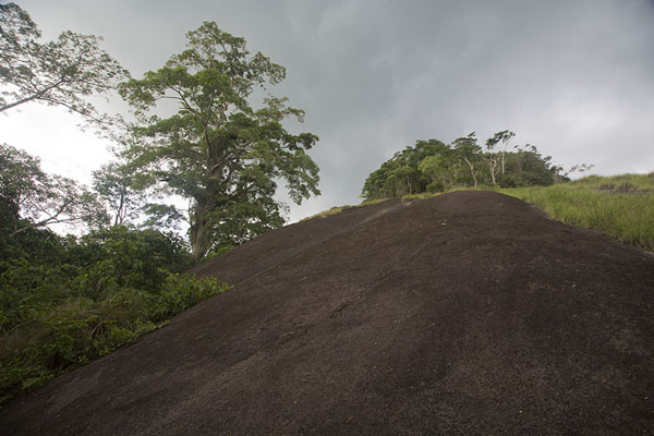 Looking up the rocky top of Mount Nienokoué | Djiroutou Taï National Park | Costa Marfil