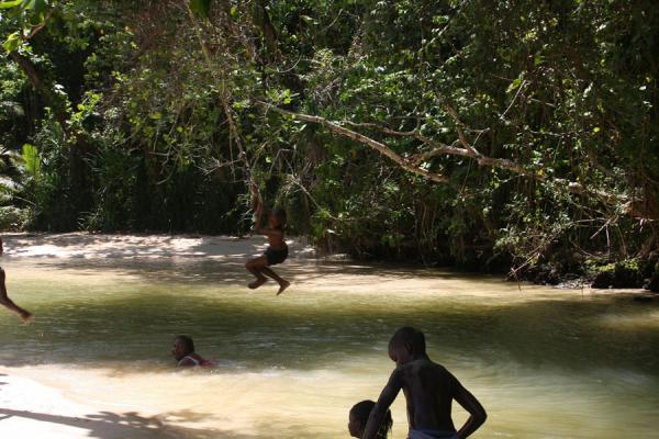 Picture of Frenchman's Cove Beach (Jamaica): Swinging over the river near Frenchman's Cove Beach