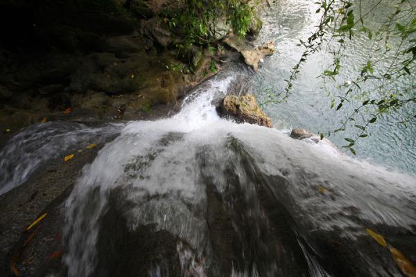 Picture of Reach Falls (Jamaica): Looking down Reach Falls
