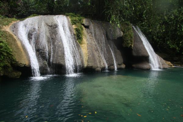 Picture of Reach Falls (Jamaica): Reach Falls and transparent green water