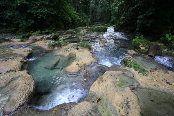 Picture of Reach Falls (Jamaica): Water running down Drivers River below Reach Falls
