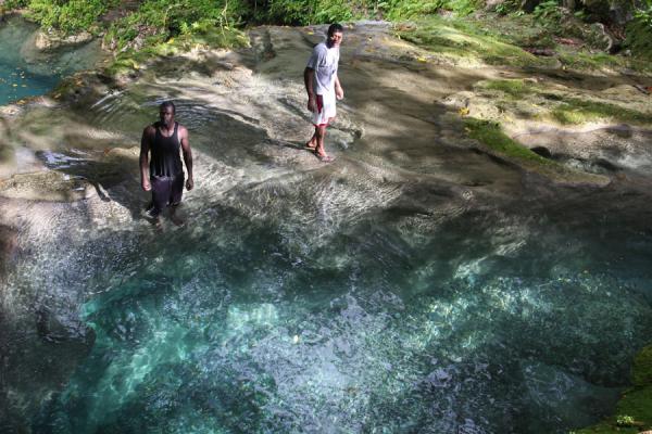 Picture of Reach Falls (Jamaica): Jamaicans taking a dip into the transparent blue waters of Reach Falls