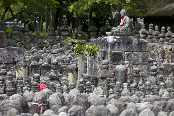 Picture of Section of the Adashino Nembutsu-ji cemetery with stone images and Buddha statues