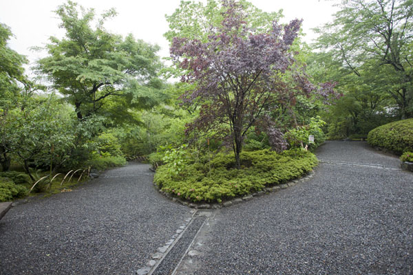 Picture of The garden of the Tenryu-ji temple