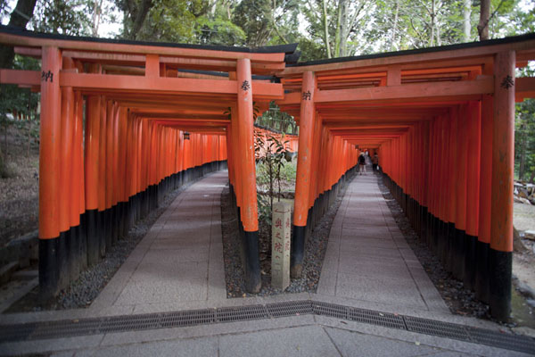 Looking into Senbon torii, double torii gates | Fushimi Inari-taisha | Japan