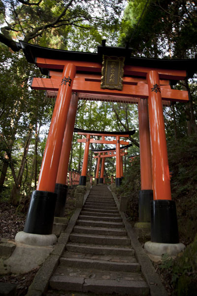 Picture of Stairs leading up Inari-san with orange torii gates