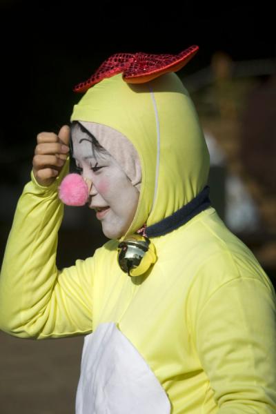 Picture of Harajuku Cosplay (Japan): Yellow-green costume