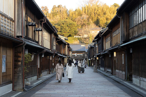 Looking east in the main street of the historical geisha district | Higashi Chaya district | Japan