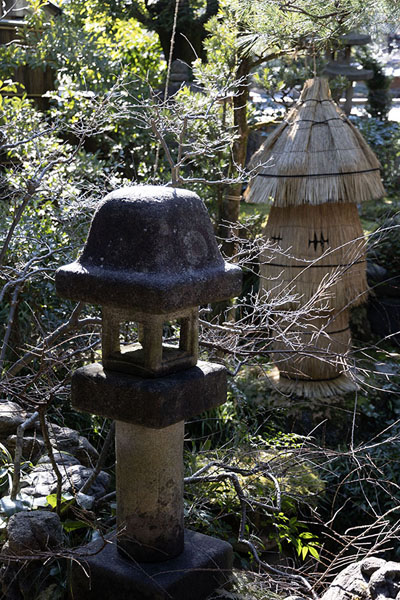 Small Japanese garden in the Nomura Samurai house | Nagamachi district | Japan