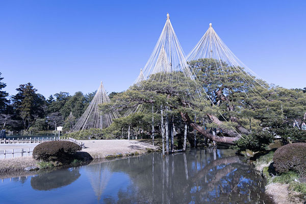 Pond with trees in Kenrokuen garden | Kenrokuen | Giappone
