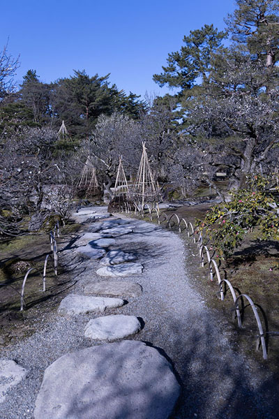 Picture of One of the paths in KenrokuenKanazawa - Japan