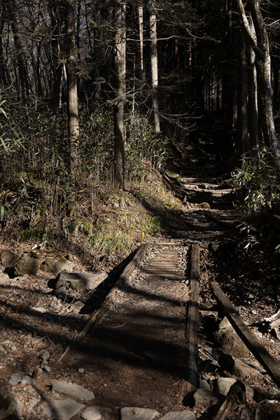 Foto di Beginning of the trail up to Mount KintokiMount Kintoki - Giappone