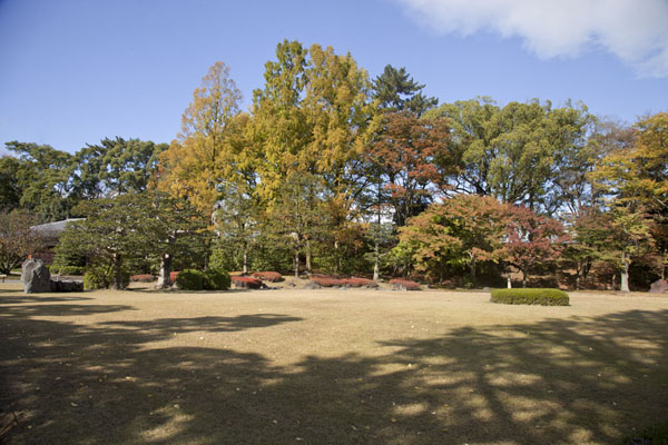 Picture of Nijo Castle (Japan): Trees in autumn colours in the Green Garden of Nijo Castle